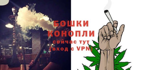 мдпв Каменногорск