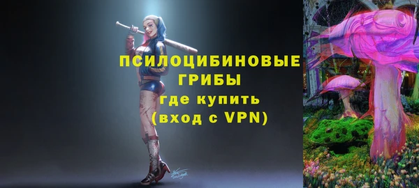 ПСИЛОЦИБИНОВЫЕ ГРИБЫ Каменск-Шахтинский