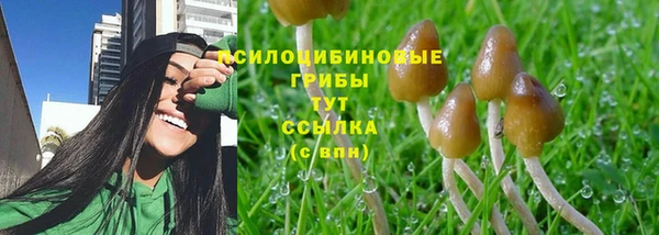 синтетический гашиш Киренск